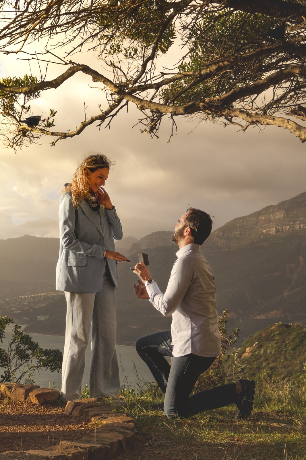Man kneeling with a ring beneath a tree as his partner looks down at him