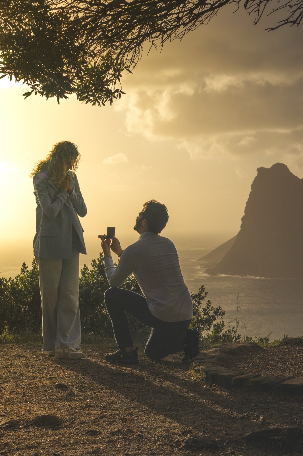 Proposal beneath overhanging branches with the sunlit bay behind the couple