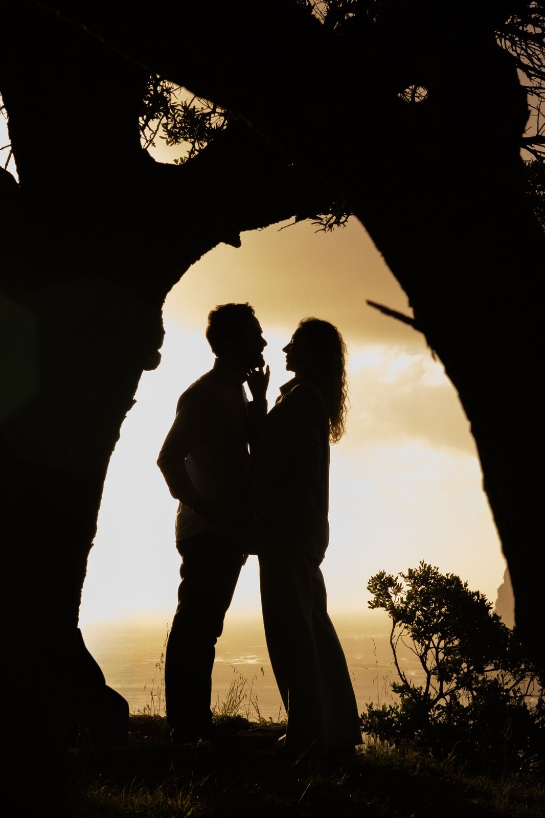 Couple silhouetted inside an opening beneath a dark tree