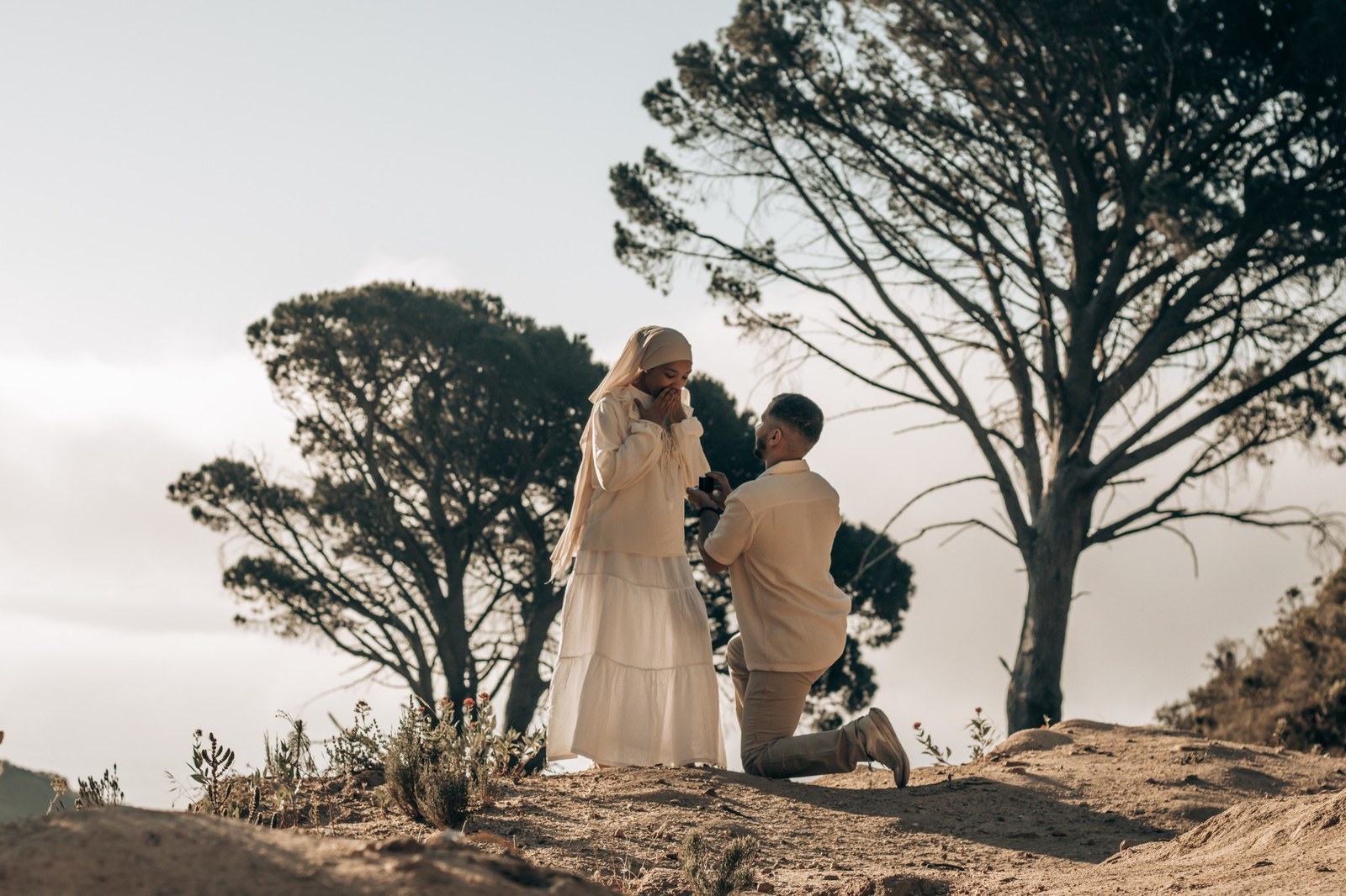 Man proposing on one knee beneath pine trees on Pipe Trail