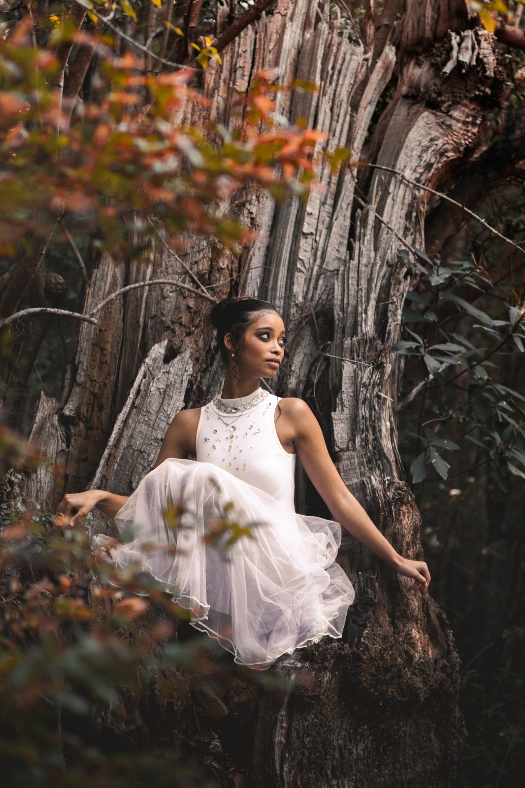Woman in a white dress seated inside a tree trunk at Newlands Forest