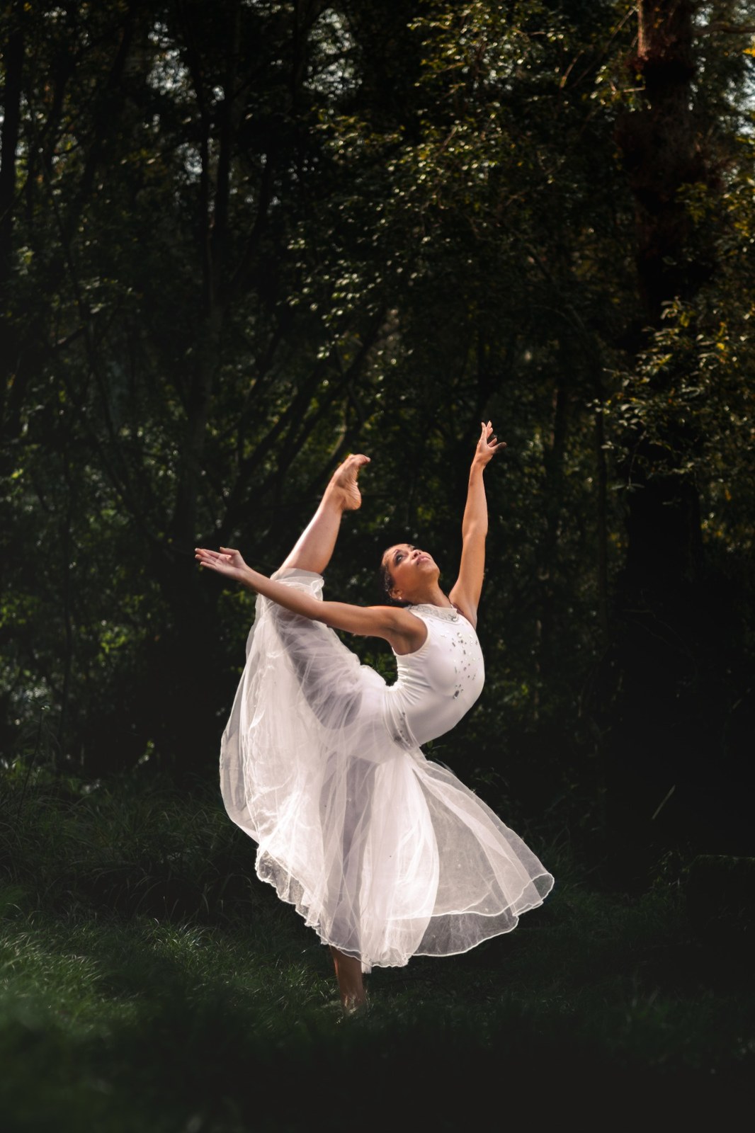 Woman lifting one leg and reaching upward in a sunlit forest clearing