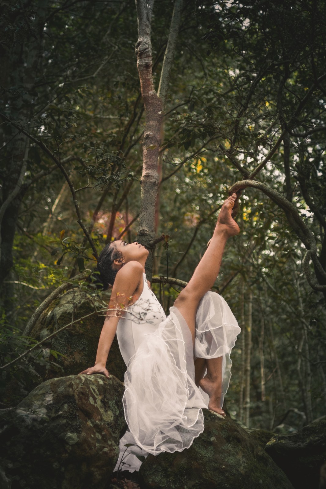 Woman seated among branches, reaching up toward an overhead limb