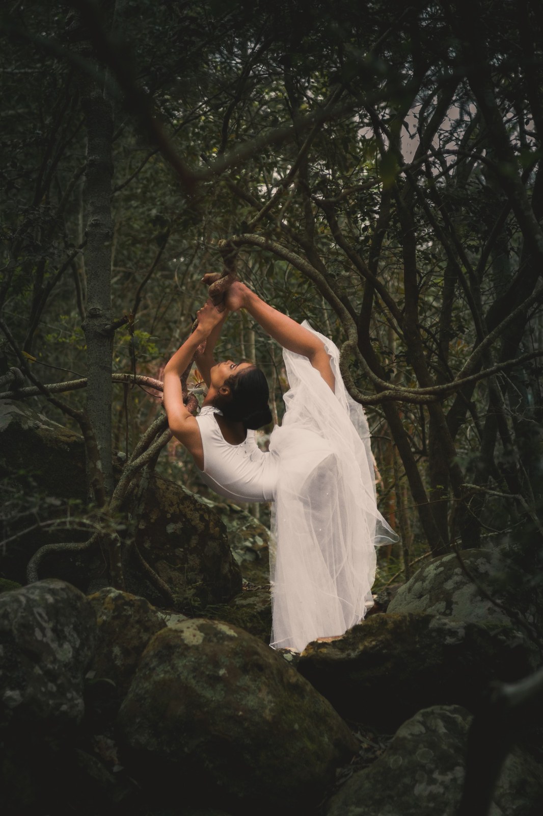 Woman bending backwards between twisting branches in Newlands Forest