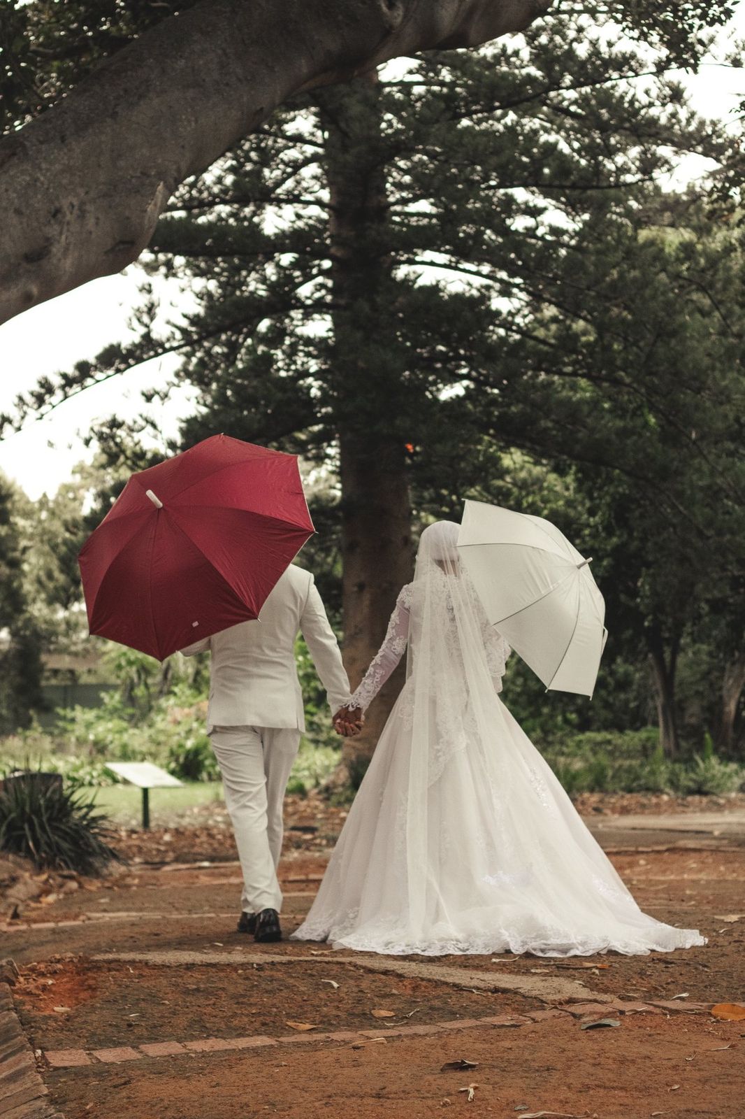 Wide photograph from Beneath the Old Trees, a wedding photography story in Cape Town