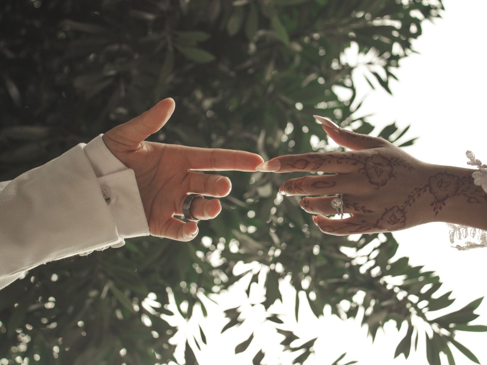 Vertical portrait from Beneath the Old Trees, a wedding photography story in Cape Town