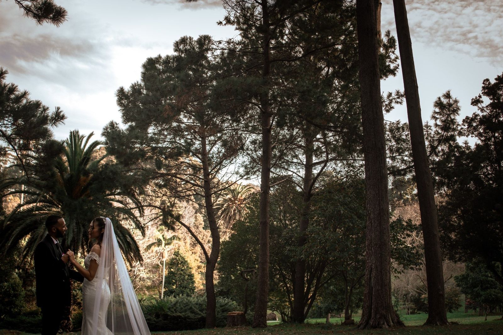 Vertical portrait from Where the Trees Remember, a wedding photography story in Cape Town