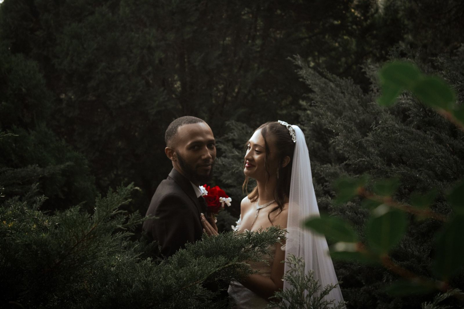 Vertical portrait from Where the Trees Remember, a wedding photography story in Cape Town